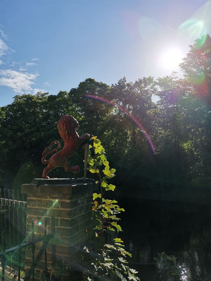 The guardian Red Lion by Bishop Bridge, with the Sun arcing off its sword.