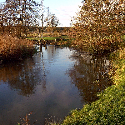 The river Tas, with trees and the railway embankment in the background.