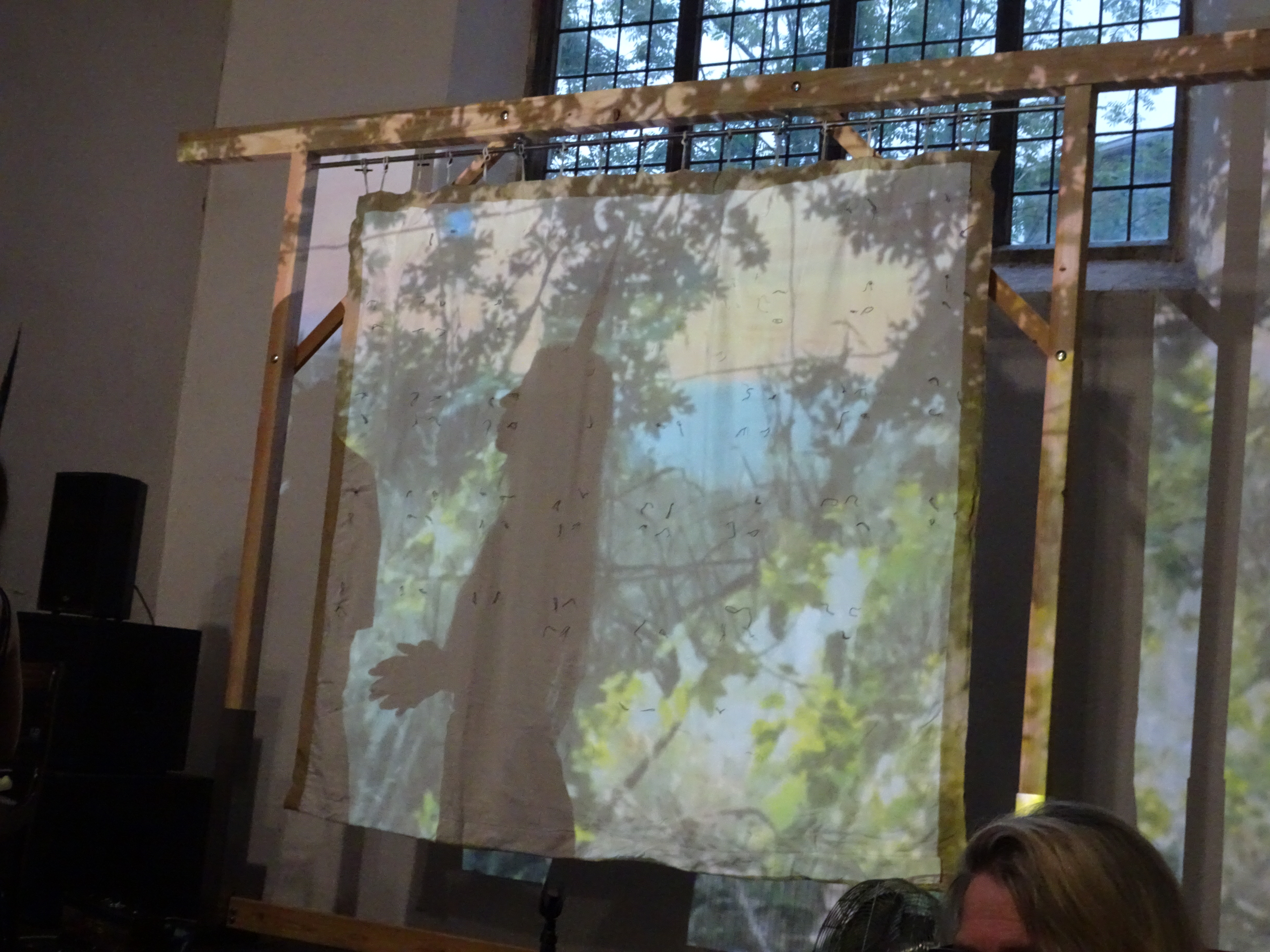 Foliate images projected on a screen with the shadow of a young woman with a pheasant feather in her hair and hands clasped in front of her, facing left and looking slightly upwards.